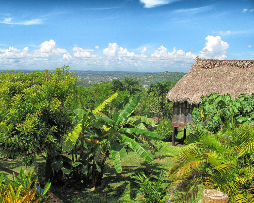 peru-pochodzenie_kawy-ziarniste