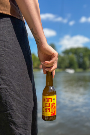 10x Kombucha - Świeża Malina 330 ml