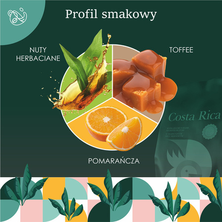 Kawa ziarnista Kostaryka Tarrazu 1 kg – Quba Caffe