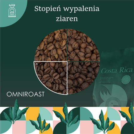 Kawa ziarnista Kostaryka Tarrazu 1 kg – Quba Caffe