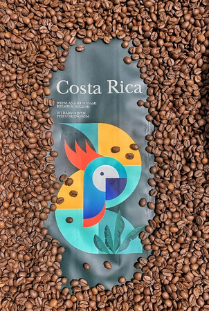 Kawa ziarnista Kostaryka Tarrazu 1 kg – Quba Caffe