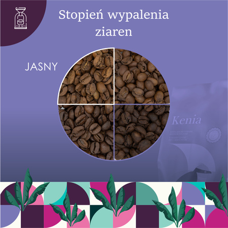 Kawa ziarnista Kenya AA Plus Kijani Kiboko 1 kg – Quba Caffe