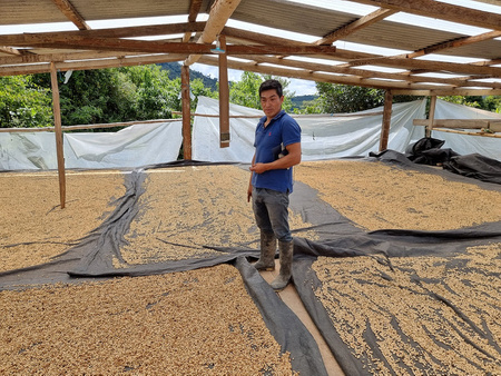 Quba Caffe Kawa ziarnista 250g Speciality Peru Huancas Fidel Natural