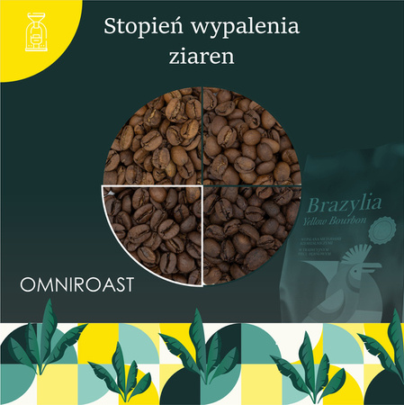 QUBA CAFFE Kawa ziarnista BRASILIA Yellow Bourbon 1kg